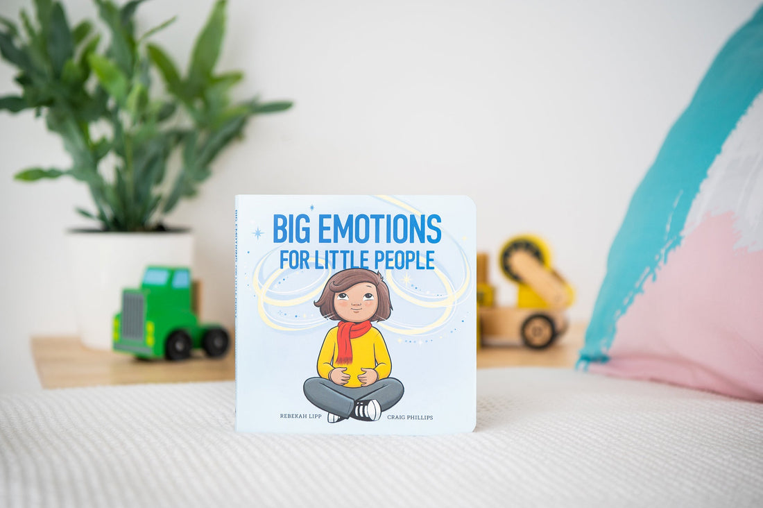 Big Emotions for Little People Board Book - Wildling Books