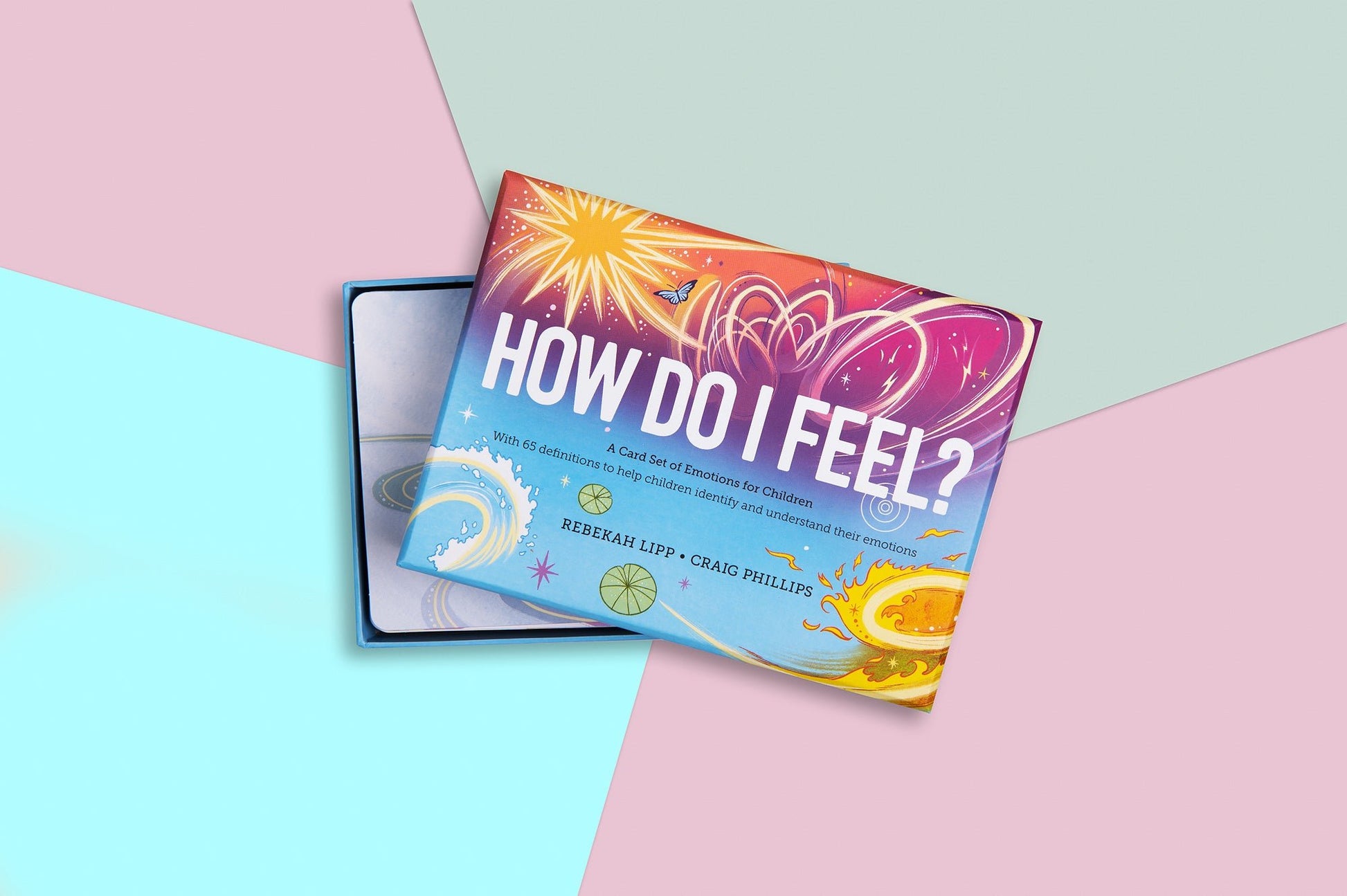 How Do I Feel? Box Set of 65 Cards - Wildling Books